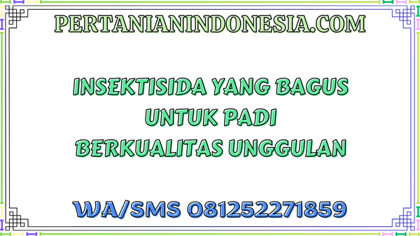 Insektisida Yang Bagus Untuk Padi Berkualitas Unggulan